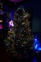Thumbs/tn_Kerstgala VdG 2015 005.jpg